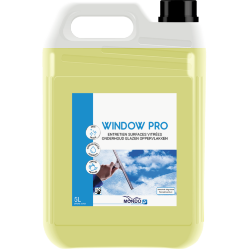 Window Pro